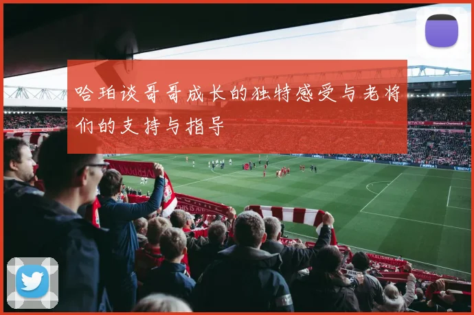 哈珀谈哥哥成长的独特感受与老将们的支持与指导