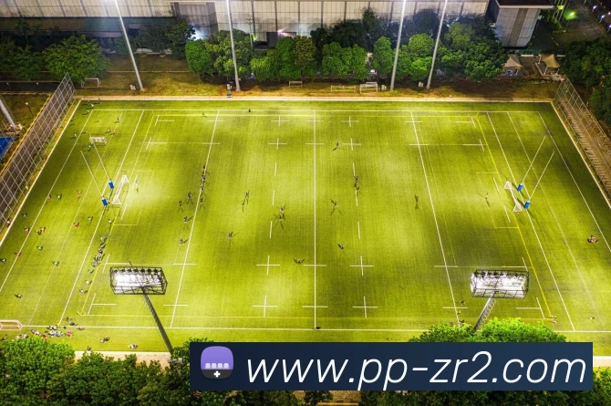 PP真人全站App